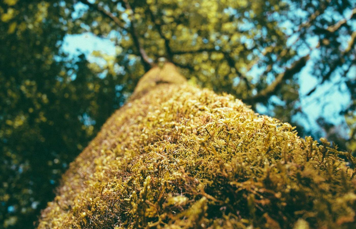 Mantener la Mente Activa